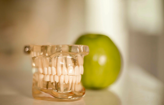 Рейтинг лучших стоматологий Нижневартовска в 2026 году: обзор, сравнение услуг 